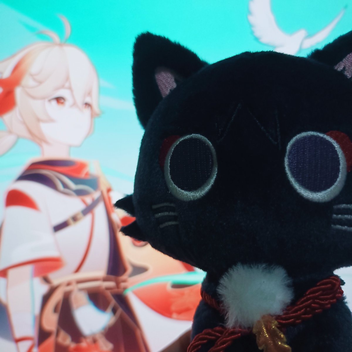 woa ᓚ₍ ^. .^₎ tweet media