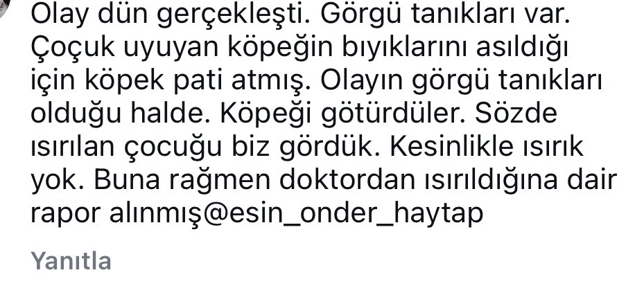 Badiko_'s tweet photo. @AysemOzleyis Konak belediyesi almış, barınakta şu an. Uyurken atmışlar iğneyi bir de.. https://t.co/wfMRZiXhRC