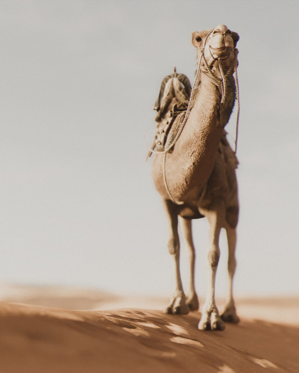 saskiaemmischVP's tweet photo. Pastell Tones
- #assassinscreedorigins #Ubisoft
- #VirtualPhotography #ThePhotoMode #VPRT #VPGamers #VGPUnite
- #desert #pastell #camel #eagle #Palma https://t.co/eLVxQCVbMv