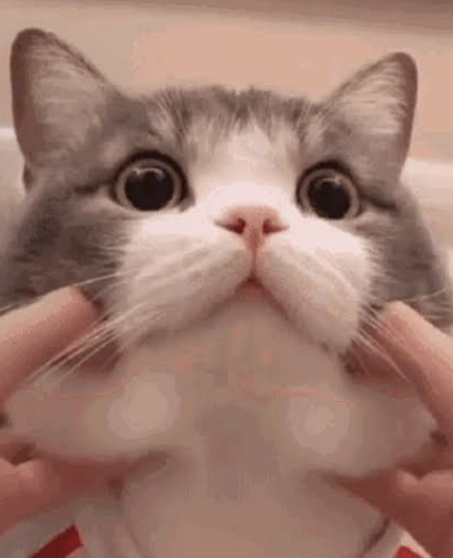 แม่นมปันใจไปแป๊บนึง😂 tweet media