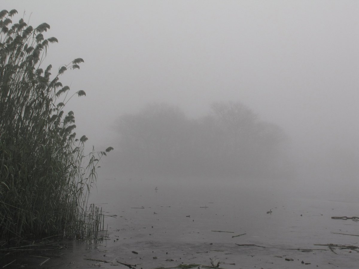 vin (@02void) on Twitter photo 