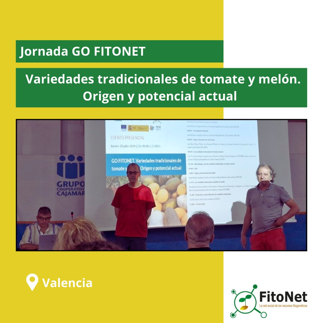gofitonet's tweet photo. ¡Celebrada la Jornada #GOFITONET: "Variedades tradicionales de #tomate y #melón. Origen y potencial actual. "!🍅🍈 🔬

👉🏻Investigadores de la @UPV  y @IBMCP  presentaron  variedades tradicionales de melón y tomate de gran calidad organoléptica. https://t.co/5rDwIFphMo