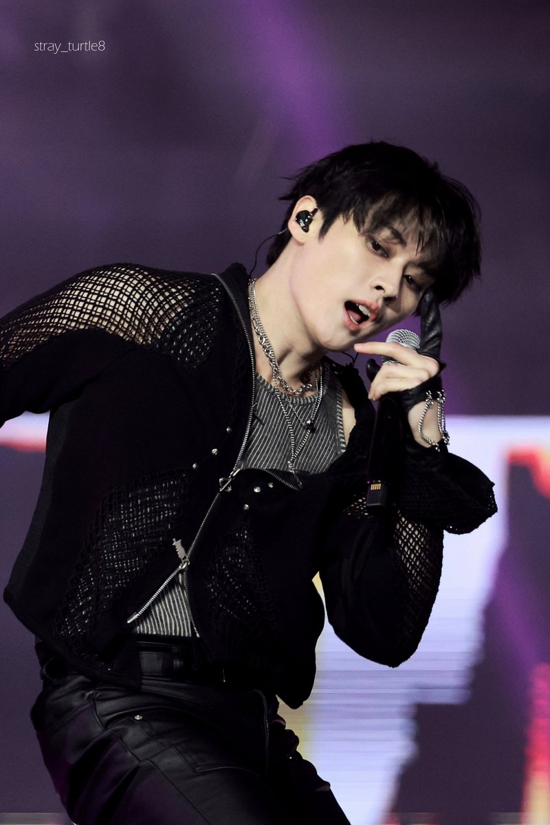 ˢᵗʳᵃʸ ᵗᵘʳᵗˡᵉ tweet media