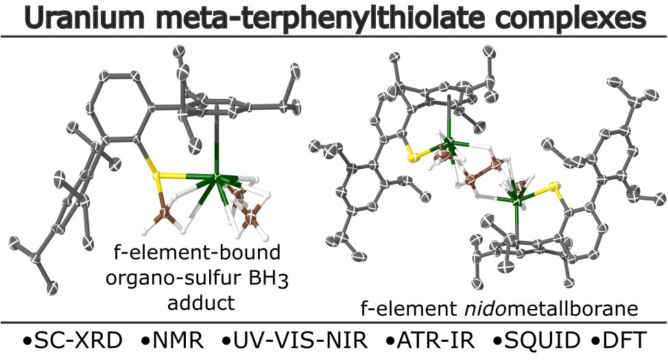 Dr Ben Réant (@ben_reant) on Twitter photo Excited to share a preprint of the first work I have done with <a href="/ConradGoodwin/">Dr Conrad Goodwin</a> as PDRA. Check it out on <a href="/ChemRxiv/">ChemRxiv</a>, go.shr.lc/4c1gsrD, where we present a number of uranium(III,IV) thiolate complexes using Power's m-terphenyl ligand! Thanks <a href="/Johnseedo/">John Seed</a> & <a href="/jeff_jeffty_jef/">George Whitehead</a>! Excited to share a preprint of the first work I have done with <a href="/ConradGoodwin/">Dr Conrad Goodwin</a> as PDRA. Check it out on <a href="/ChemRxiv/">ChemRxiv</a>, go.shr.lc/4c1gsrD, where we present a number of uranium(III,IV) thiolate complexes using Power's m-terphenyl ligand! Thanks <a href="/Johnseedo/">John Seed</a> & <a href="/jeff_jeffty_jef/">George Whitehead</a>!
