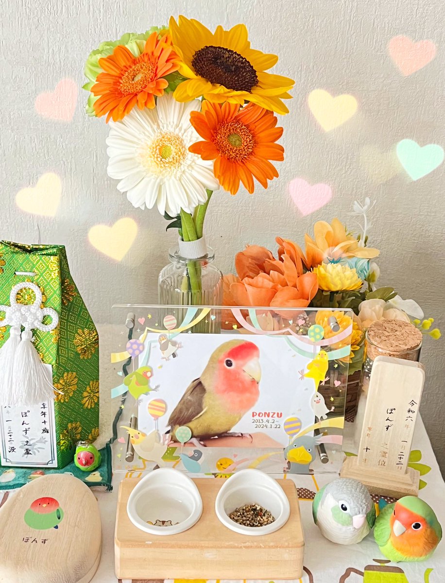 ponzu_ink's tweet photo. ぽんずが虹の橋を渡って昨日で半年経ちました🌈✨
写真や動画を見返すと、ま��まだ寂しい気持ちで涙が出るけど、それ以上に可愛い〜〜！！って感情が溢れて幸せになれるなぁ🧡 https://t.co/9Wq1aN7Ag2