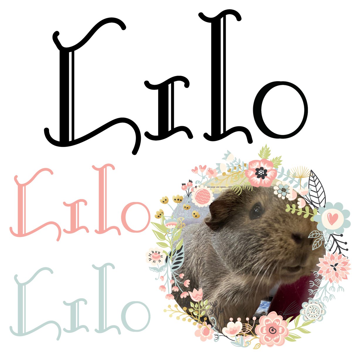 TatDisneyGurl's tweet photo. #dailylogochallenge Day 15. Hand Lettering Logo. #logo #logodesign #contentcreation #contentcreator #graphicdesign #digitalart #dailylogo #fullsailstudent #fullsailuniversitystudent #fullsailuniversity
#LOGODLC #LOGODLC15 #adobe #adobeillustrator #wacom #wacomtablet (1/2) https://t.co/AfFv9dSAX0