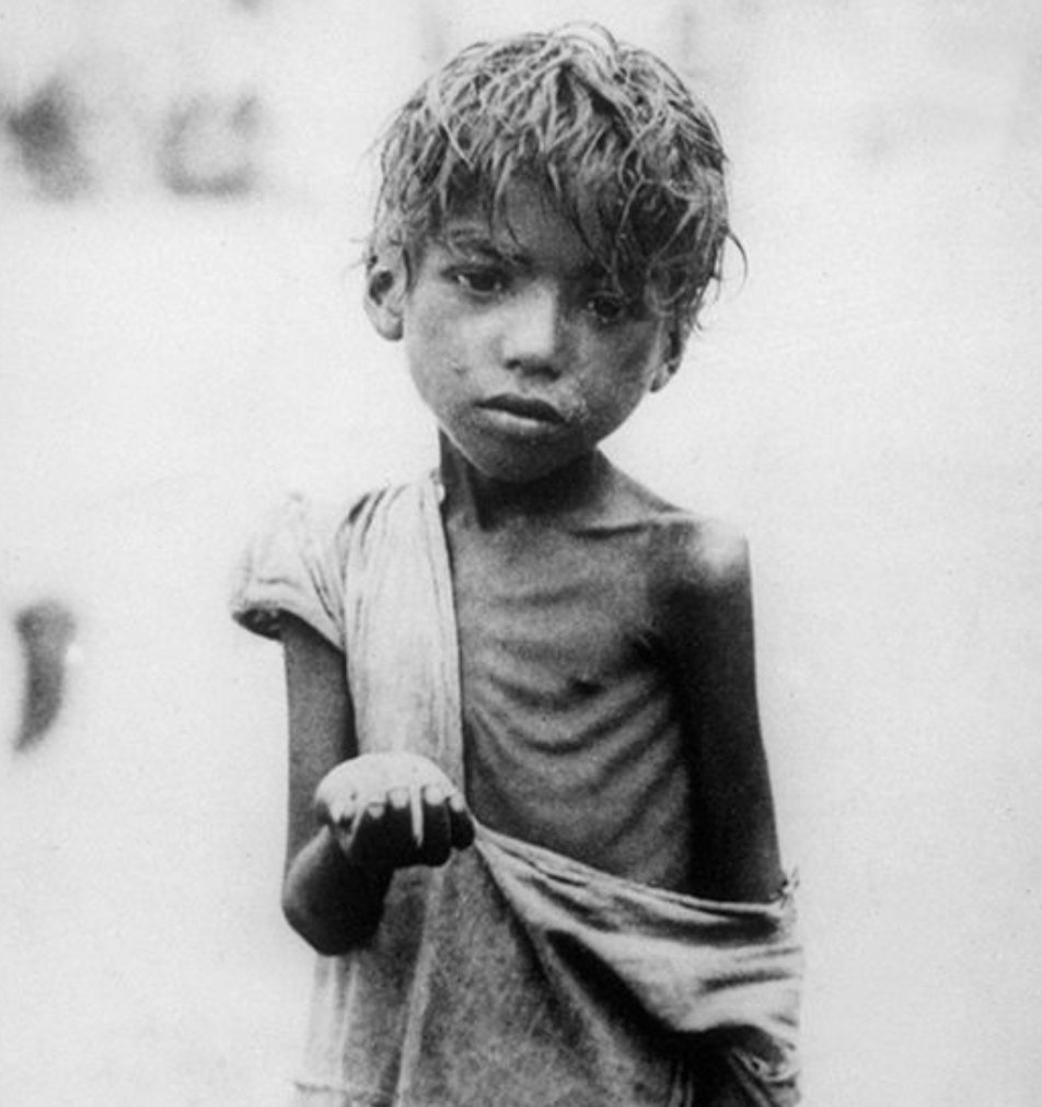 William Dalrymple tweet media