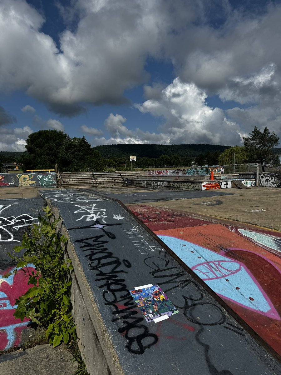 3AMNEWYORK's tweet photo. Our IRL 3rd annual skate competition is this Sunday! https://t.co/PLlhSjGQpo