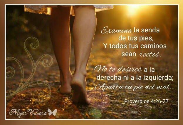 SdVcln's tweet photo. https://t.co/OQ9zWla7LU