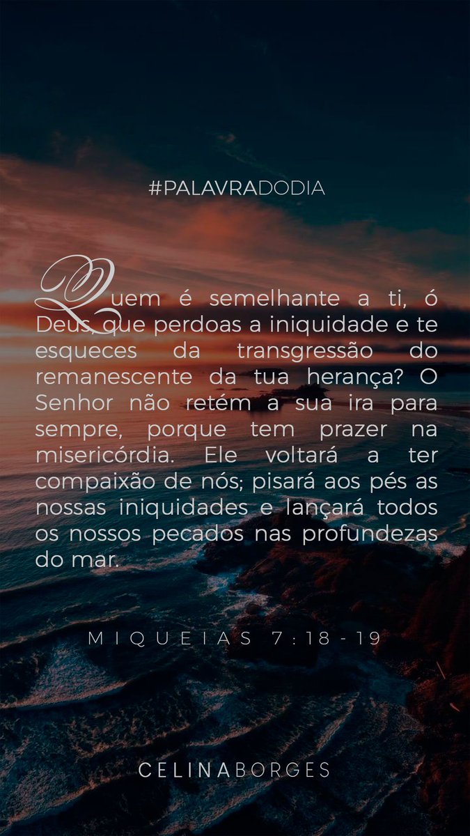 Celina Borges tweet media