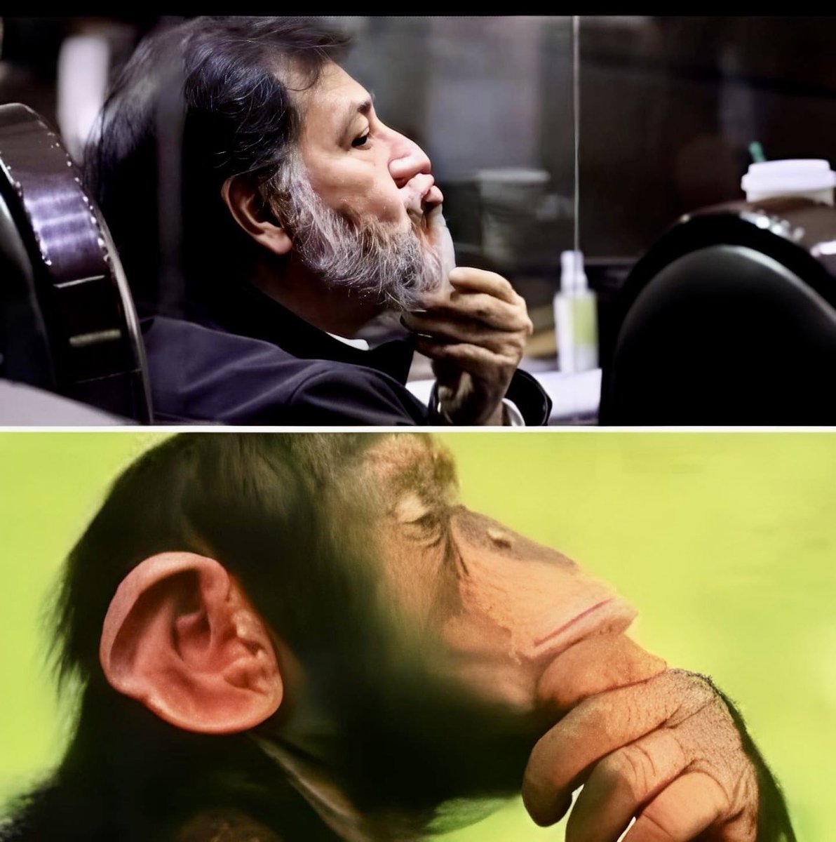 ¿Alguien aún duda de la evolución?