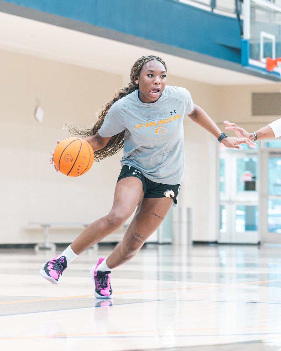 UTAMavsWBB's tweet photo. 𝗖𝗼𝘂𝗻𝘁𝗶𝗻𝗴 𝘁𝗵𝗲 𝗱𝗮𝘆𝘀 ⏳
#BuckEm 🐎 | #Play2Win https://t.co/BmXessKoc1