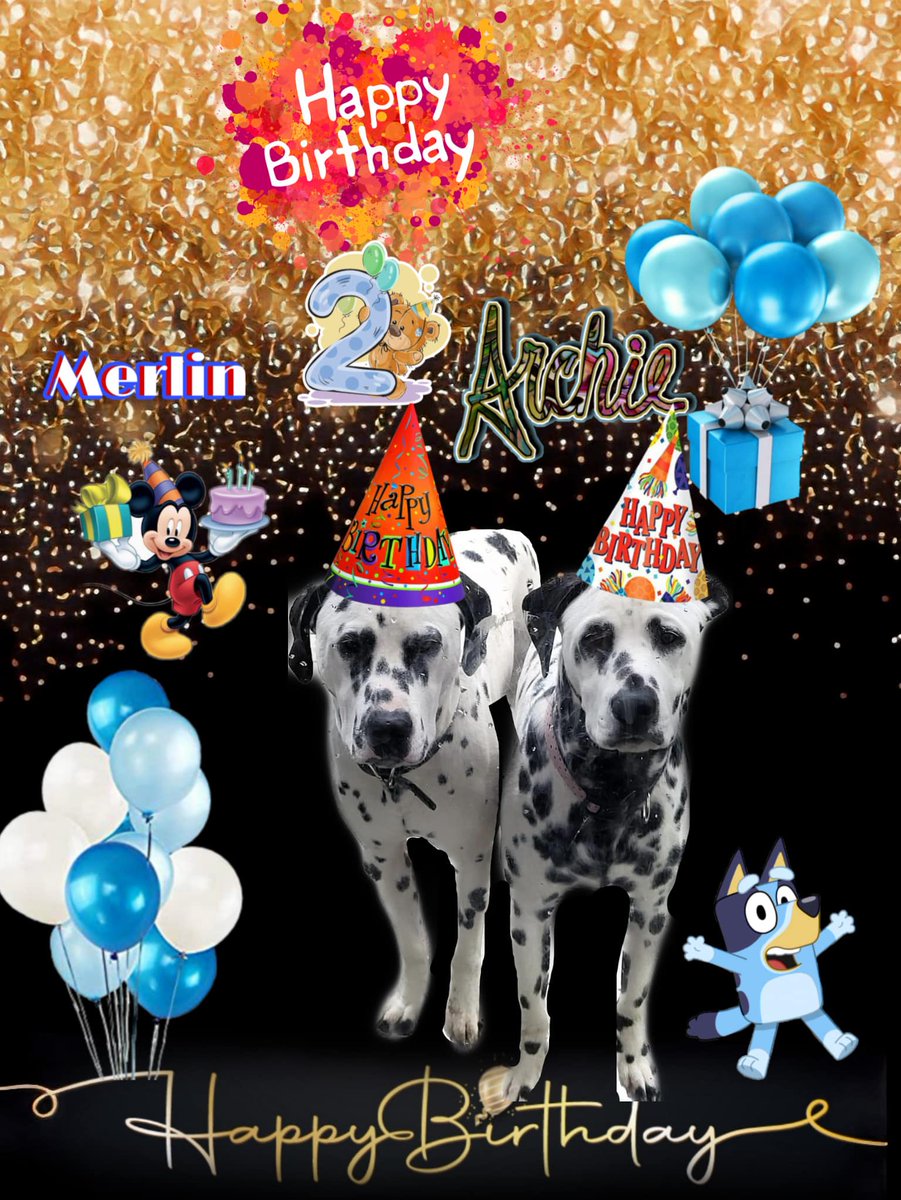 AngelMocha12's tweet image. Good morning from here  happy birthday  🎂 🥳 🎉  to us ..2 now .😀😀😀@dogdaysinitaly @OrchestraDog @80sqween @3phibotticelli @angelgwenie1 @Avril1465689 @Babe8iddle @Alfie77617391 @Animal_fanlover @samsoncombs @BrocatoDan @DogsBirthdays happy to get ♥️  today 💫 🥰 ♥️ 😀