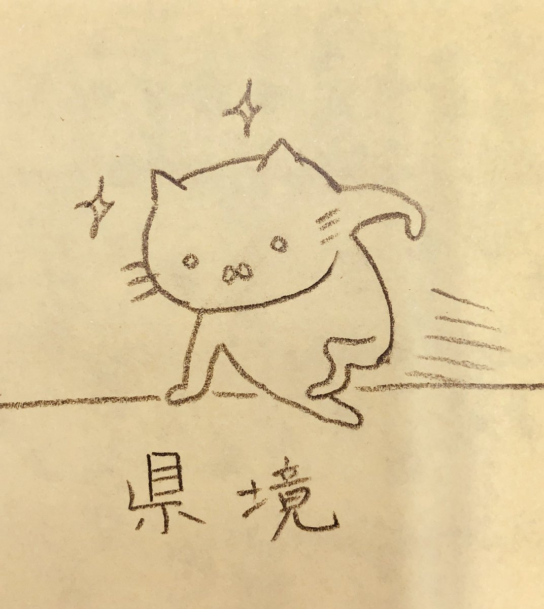 @harusame_0986 フカヒレとお伺いしまして…!!! 