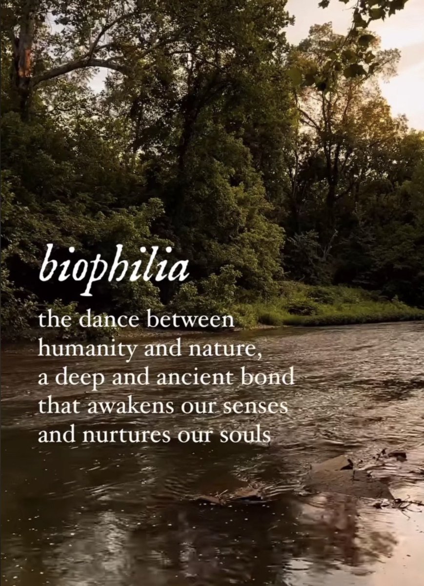 IanCPlayer's tweet image. The dance between humanity and nature #humanity #nature #wilderness #wild #ianplayer #player #life