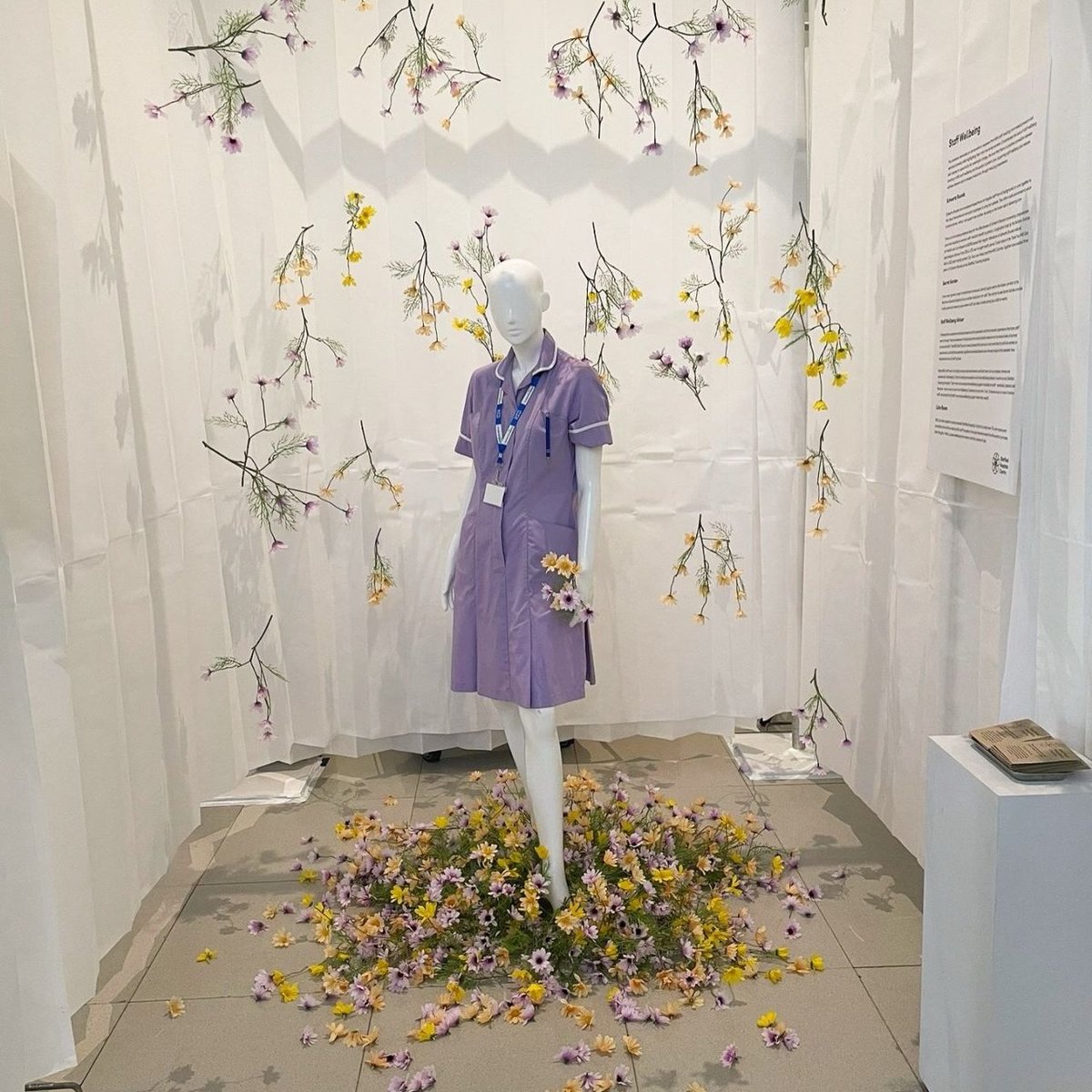 SHCFundraising's tweet image. 📣Our impact exhibition at the Millennium Gallery is now OPEN for visitors!

🗓️You can visit this week from 23rd-28th July

Find out what can be achieved when we come together to make healthcare better for all of us 💙

More info on @SheffMuseums website:  sheffieldmuseums.org.uk/whats-on/sheff…