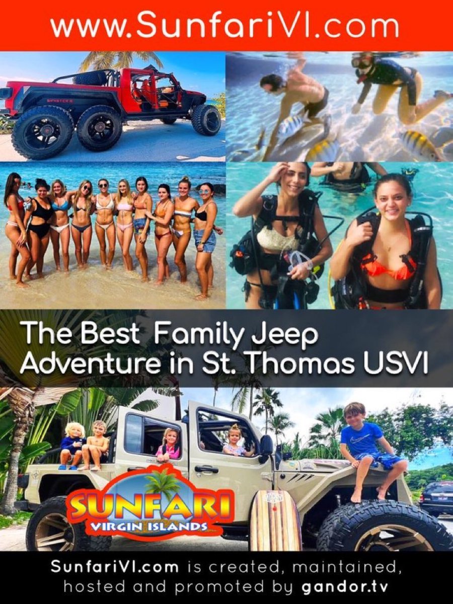 sunfarivi tweet media