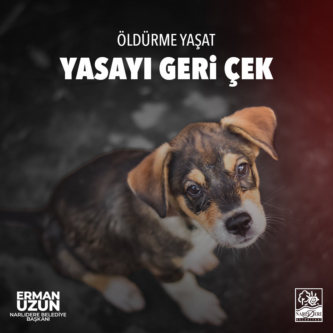 Biz yaşamı savunuyoruz. Sokaktaki canlarımızın yaşam hakkını elinden alan uygulamanın insani ve vicdani olarak kabul etmeyeceğimizi ifade ediyoruz.