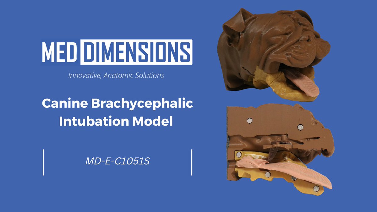 med_dimensions's tweet photo. Check out our latest blog post! Canine Brachycephalic Intubation Model MD-E-C1051S https://t.co/cSdAcABA2E
#MedDimensions #CanineBrachycephalicIntubation #VeterinaryEducation #Education #Veterinarian #Simulation #MedicalSimulation #VeterinarySimulation #SimulationModel https://t.co/sLjhz4EW1U
