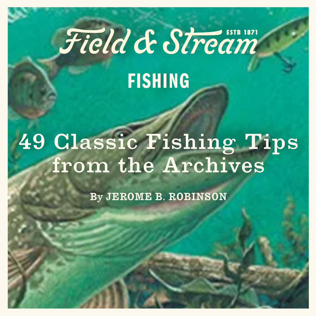 Field & Stream tweet media