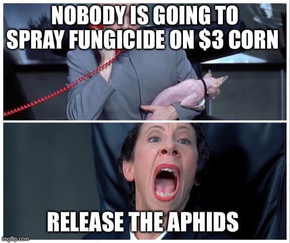 Jacob Wade (@agvantageseeds) on Twitter photo 