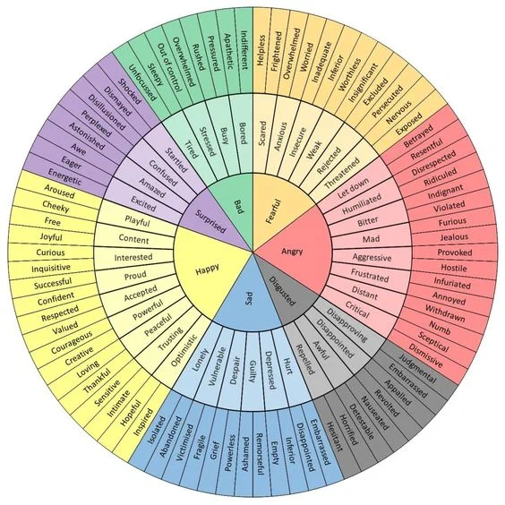 The emotional word wheel by Geoffrey Roberts might help you write better: https://imgur.com/i-feel-emotional-word-wheel-feel-wheel-australian-english-tCWChf6