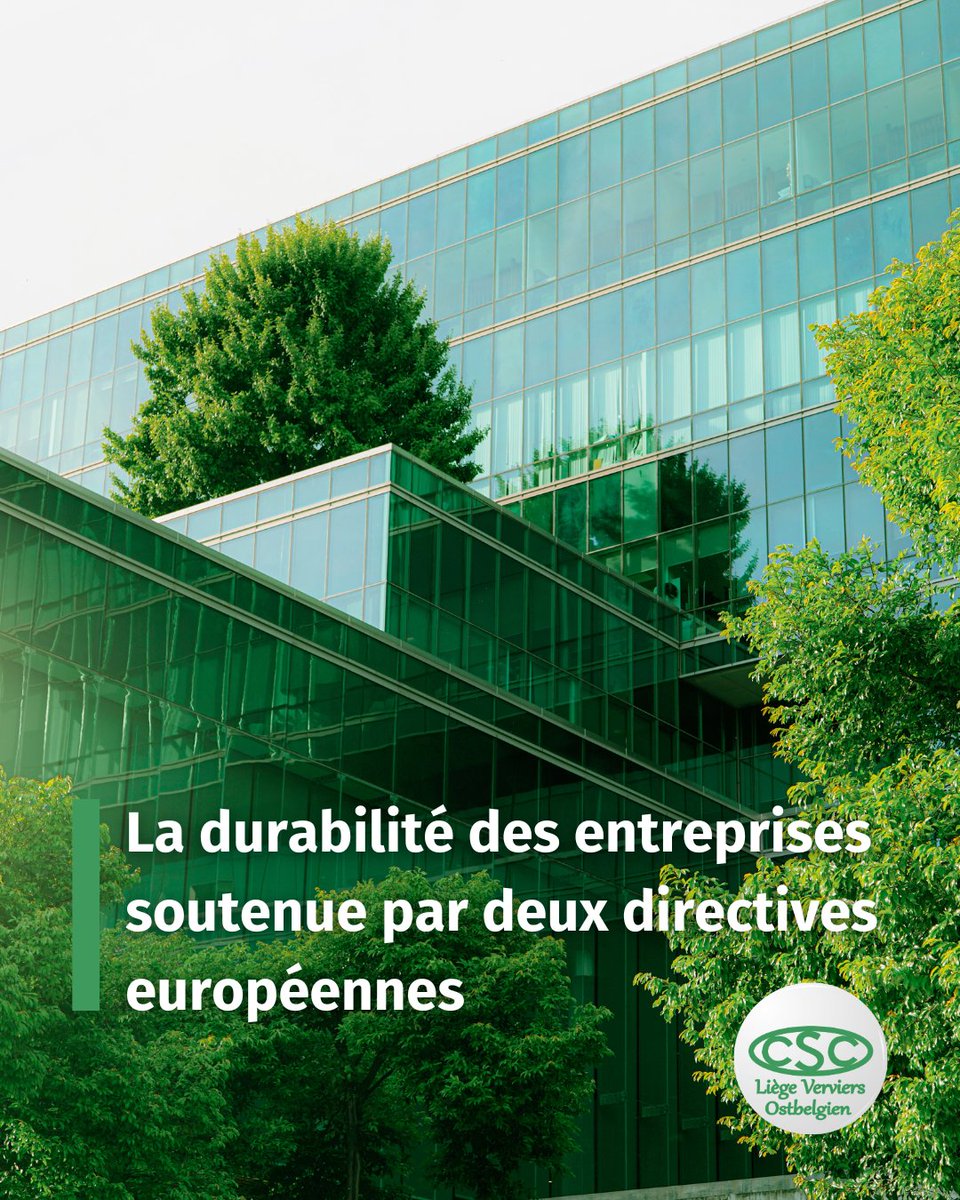 Deux directives importantes pour les entreprises ont été adoptées au Parlement européen. Les travailleuses et travailleurs ont un rôle à jouer pour s’assurer que les entreprises prennent le chemin de la transition juste. Plus d'infos : digizine.online/mvc/6/article/…