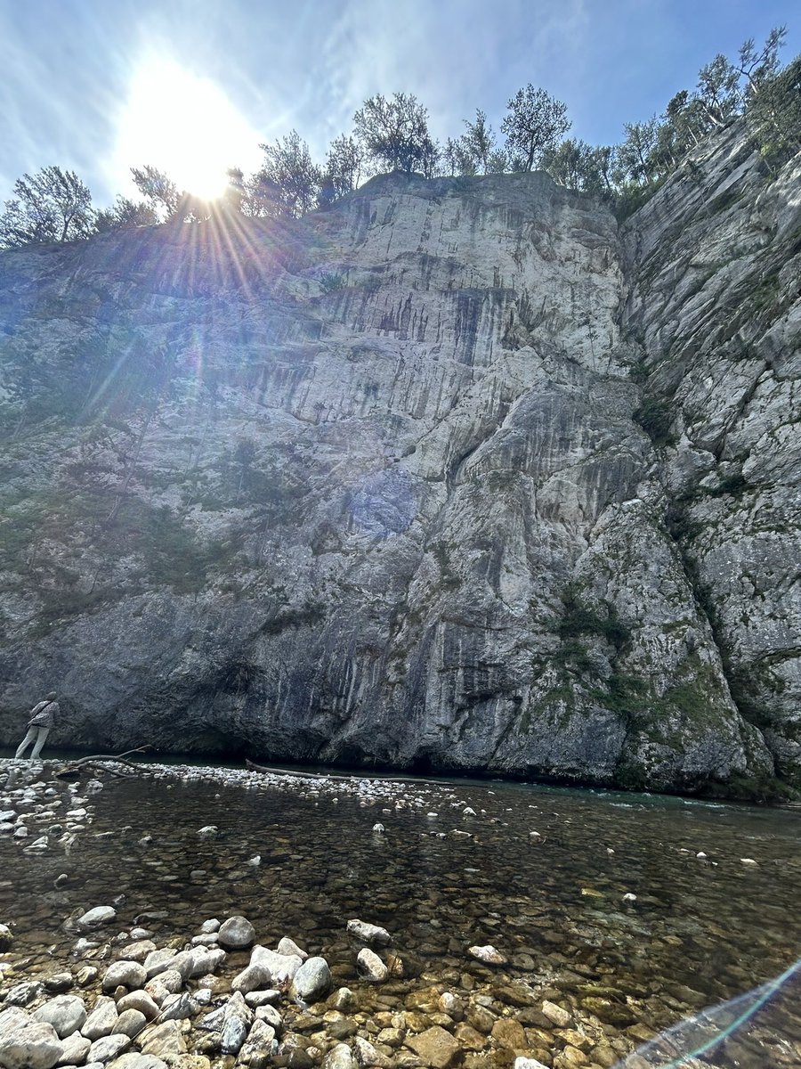 Nicky0Jackson's tweet photo. 🌱🫖🐉
#DrinkTeaMakeFriends
Today’s setup at the local river. One of my absolute favourite places to be. There’s no internet connection, just nature, tea, lovely talks and pure enjoyment. Today Luna 🐕 joined ❤️
#Ataraxia #Ajirogasa #PhoenixDragon #LungChing
#NatureForMelissa https://t.co/UGZdZaQZOC