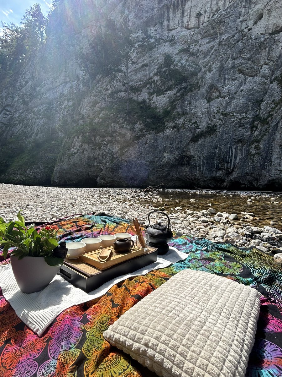 Nicky0Jackson's tweet photo. 🌱🫖🐉
#DrinkTeaMakeFriends
Today’s setup at the local river. One of my absolute favourite places to be. There’s no internet connection, just nature, tea, lovely talks and pure enjoyment. Today Luna 🐕 joined ❤️
#Ataraxia #Ajirogasa #PhoenixDragon #LungChing
#NatureForMelissa https://t.co/UGZdZaQZOC