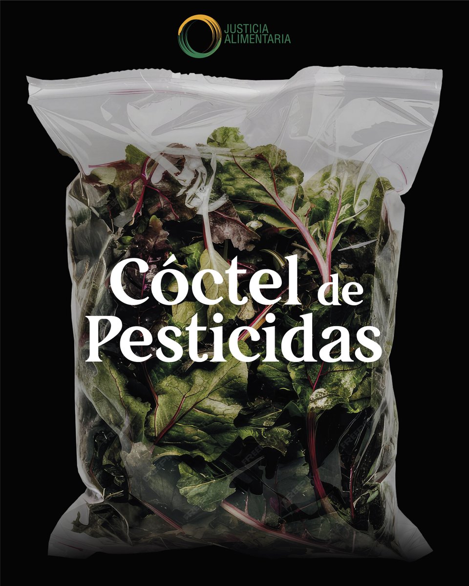 Con la ola de calor del verano, el consumo de ensaladas en bolsa se dispara en España. 

Desde Justicia Alimentaria queremos explicarte algo antes de la siguiente compra...