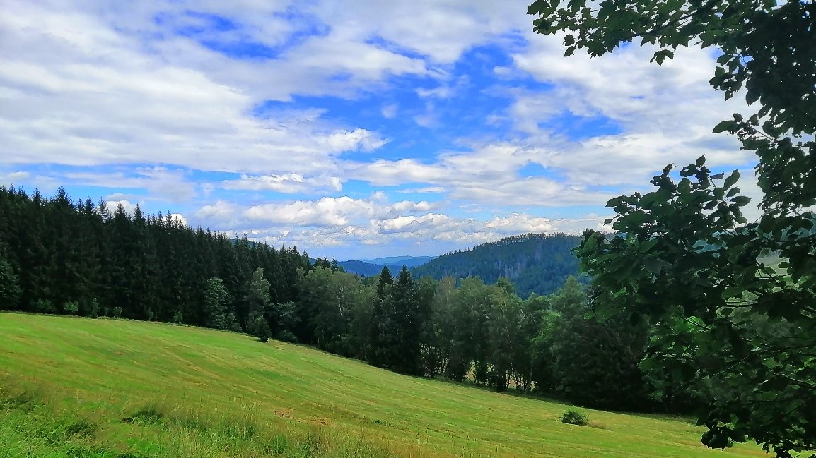 S59Marta's tweet photo. Dnešní výhledy nad Srním🌲🌳⛅️
#sumava #srni #nature https://t.co/yyxU8eKWQd