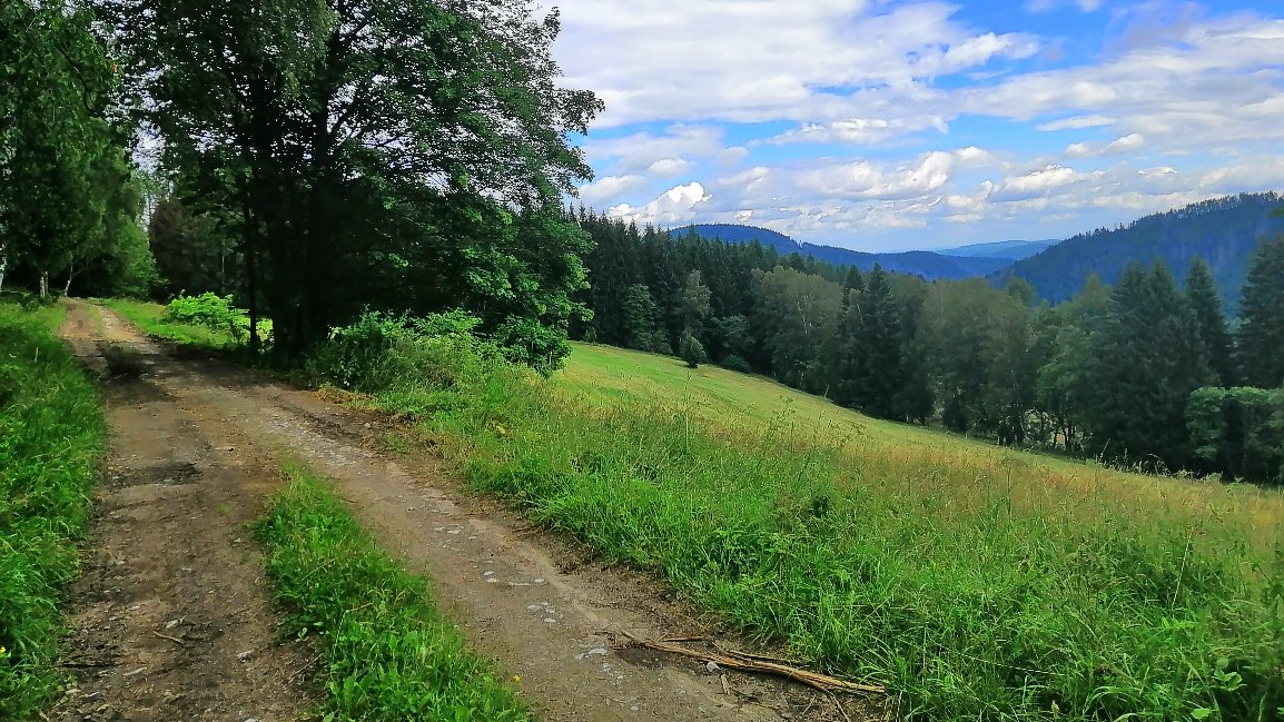 S59Marta's tweet photo. Dnešní výhledy nad Srním🌲🌳⛅️
#sumava #srni #nature https://t.co/yyxU8eKWQd
