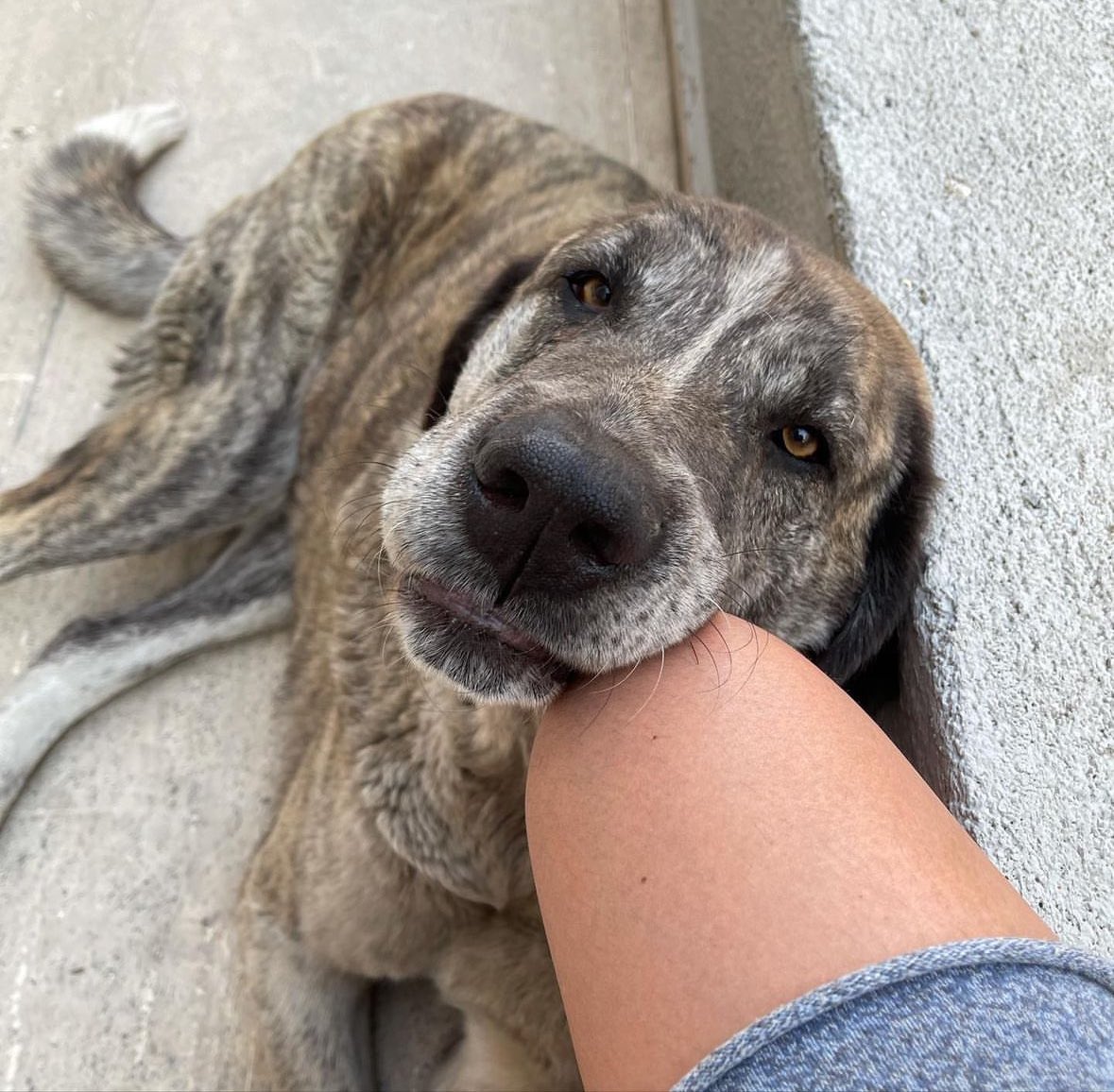 "Bazı hayatların daha değersiz olduğu düşüncesi, dünyadaki bütün kötülüklerin
kaynağıdır."
#YasaDeğilCinayet #YasayiGeriCek