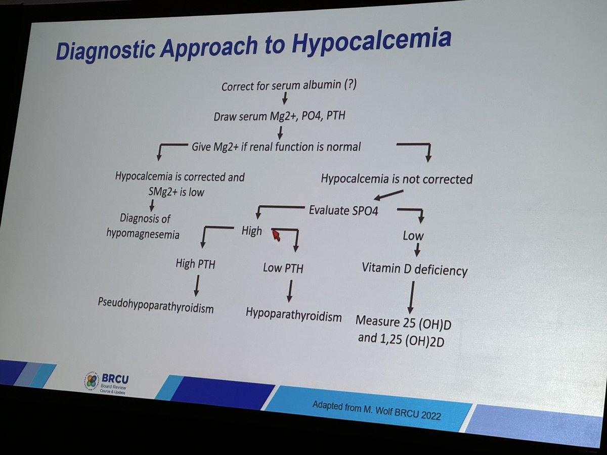 Diagnostic approach to hyPOcalcemia <a href="/anna_zisman/">Anna Zisman</a> #BRCU2024 

Step 1: Check Mg, PO4, iPTH