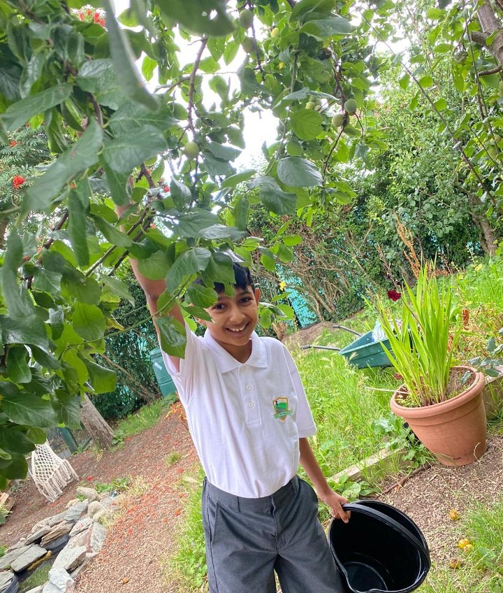 HighViewPrSch's tweet photo. High View grown, organic green plums! Hand picked by #HighViewHeroes from our #ForestSchool! Crumbled by @OliveDiningLtd to enjoy as a dessert option for lunch! Spot the edible flowers grown in our green space too! @gardeninforkids @RHSSchools @SOLDoutdoors #AimHighView https://t.co/2AhYbGMT0E