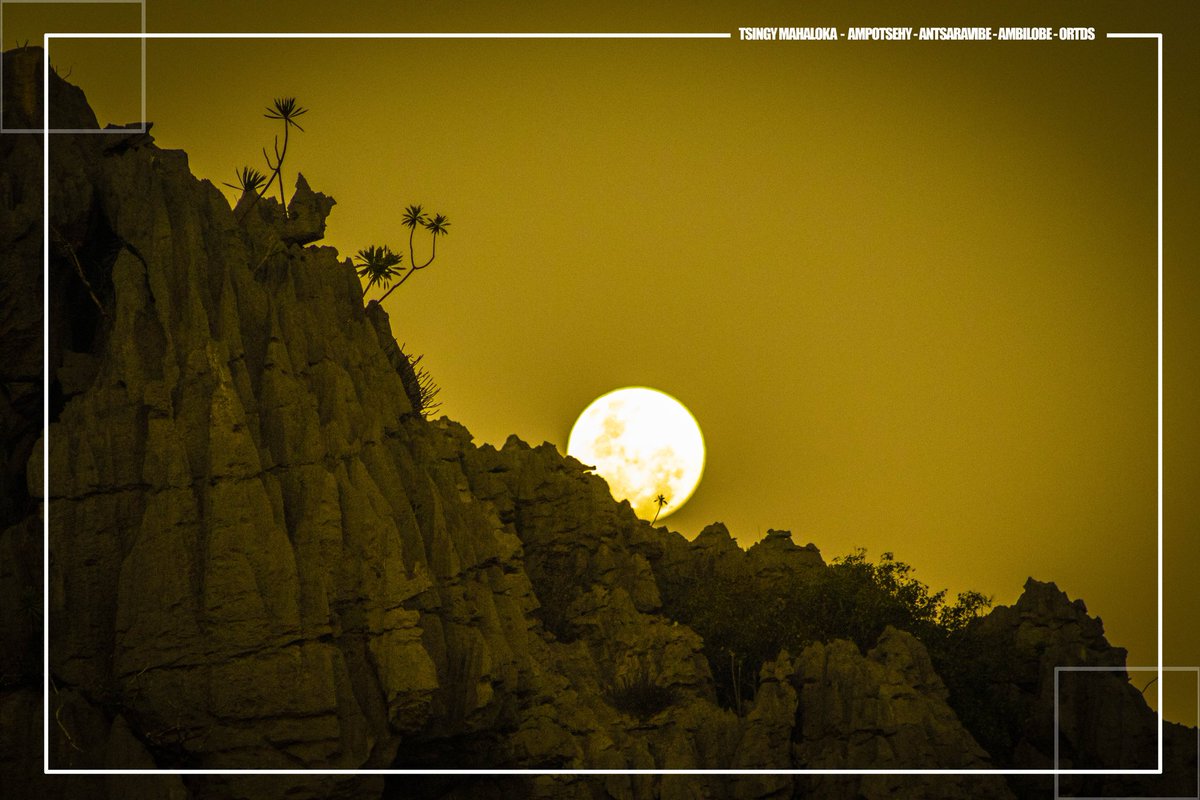 OfficeDiego's tweet photo. Tsingy Mahaloka
Sunset🌅🔆
#photography #sunset #madagascar #tourisme #explore https://t.co/7bjyyXxJnO
