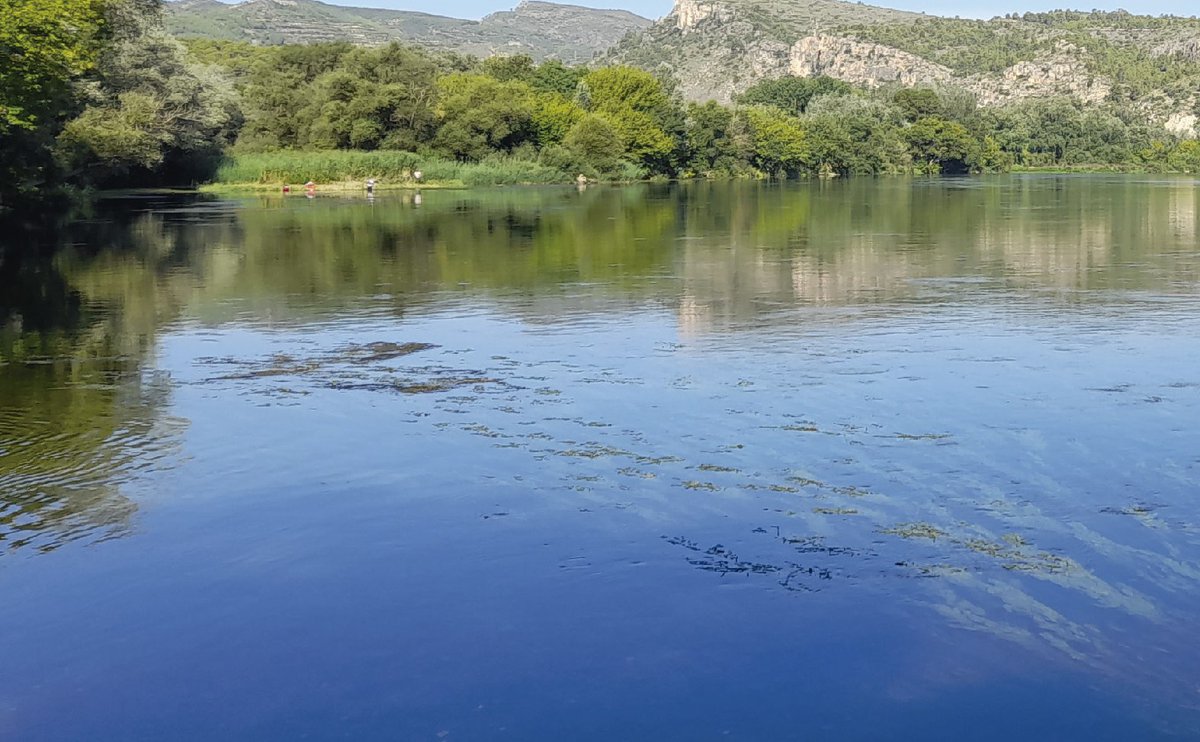 CH_Ebro's tweet photo. En ríos y embalses, se recomienda bañarse sólo en las zonas oficiales declaradas por las Comunidades Autónomas, y extremar siempre las precauciones

El baño está prohibido cerca de los órganos de desagüe de las presas, en canales y balsas https://t.co/VWaocaEprc