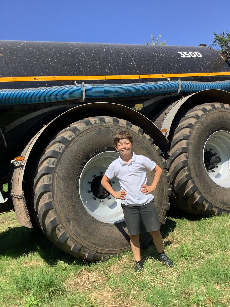 WhitegateCedar tweet media