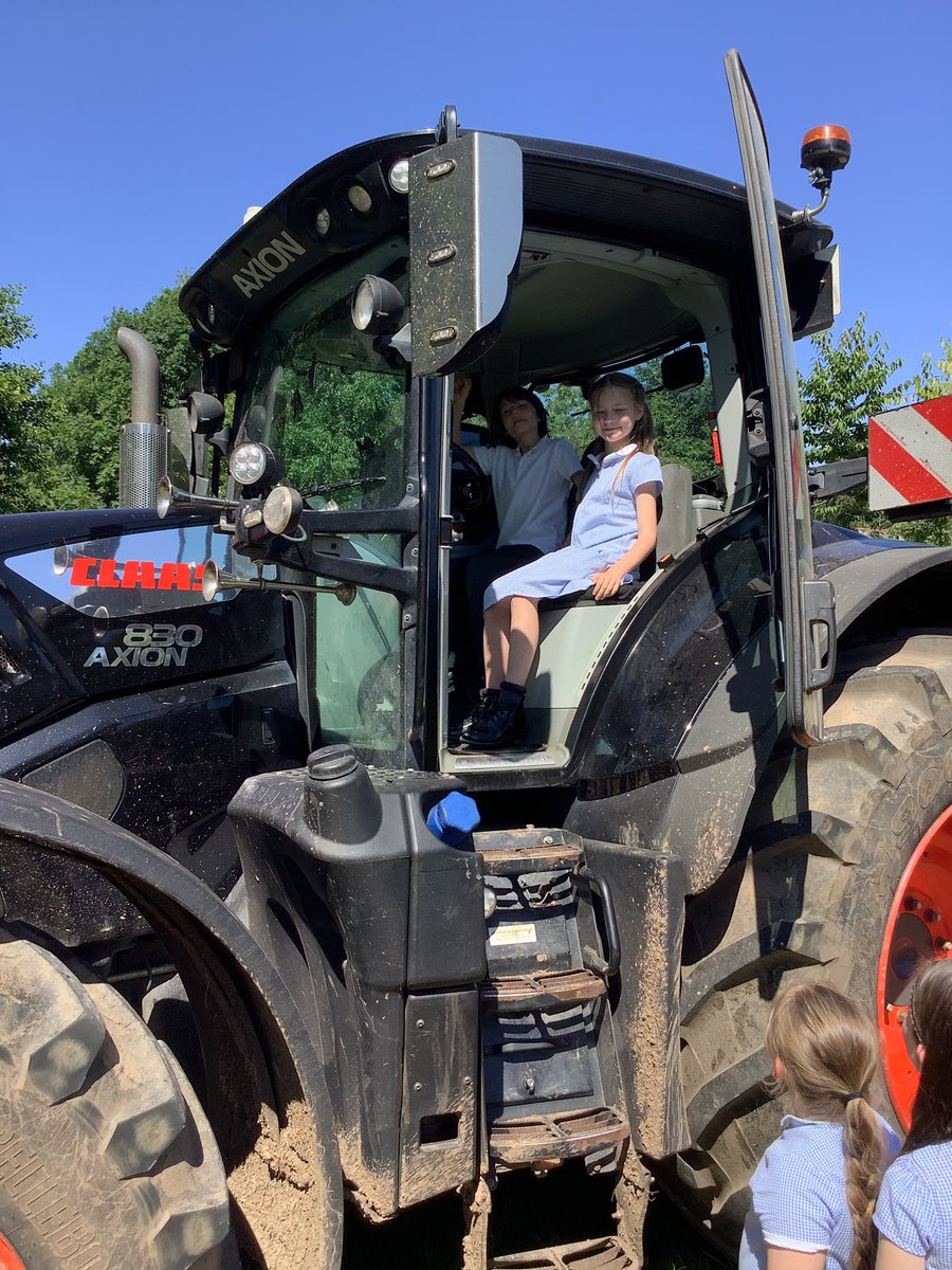 WhitegateCedar tweet media