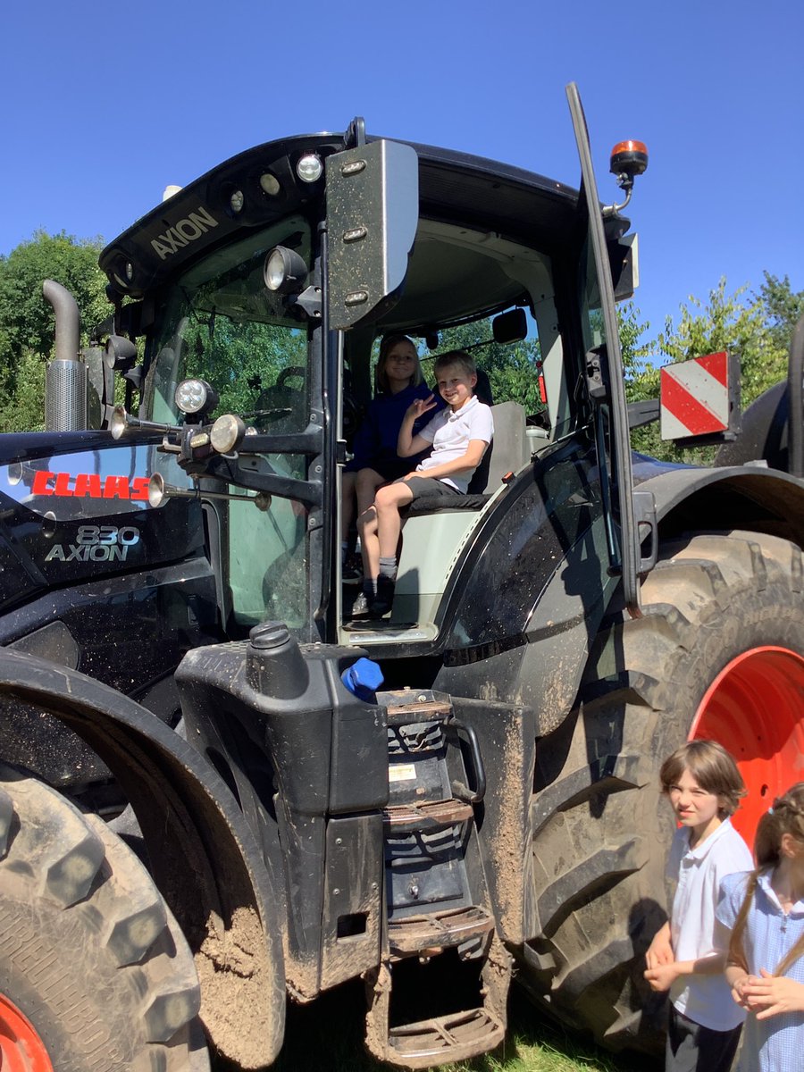 WhitegateCedar tweet media