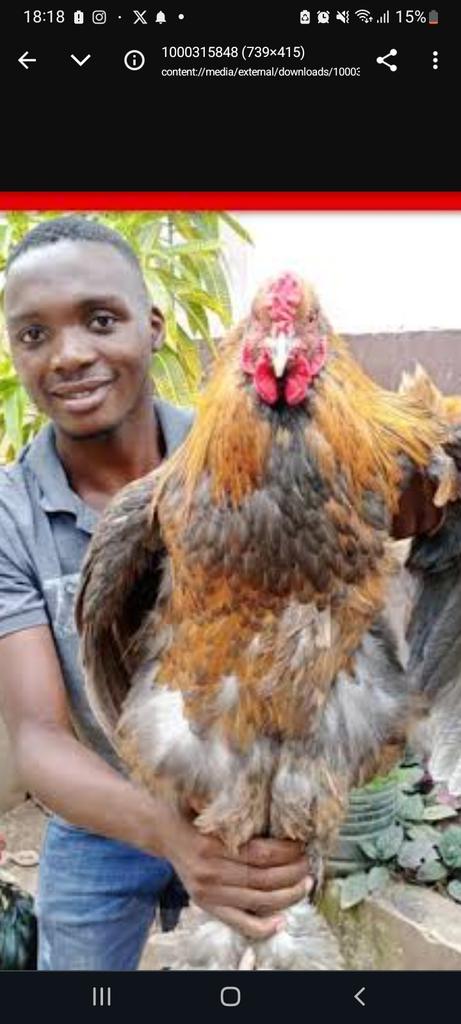 Waah kwani kwa ndege hakuna  ugali na  vile nilikuwa nishajipin na kajogo kangu hapa. No nitapika ugali nikifika Maldives #OccupyEverywhere #OccupyCBDThursday #occupyJKIA