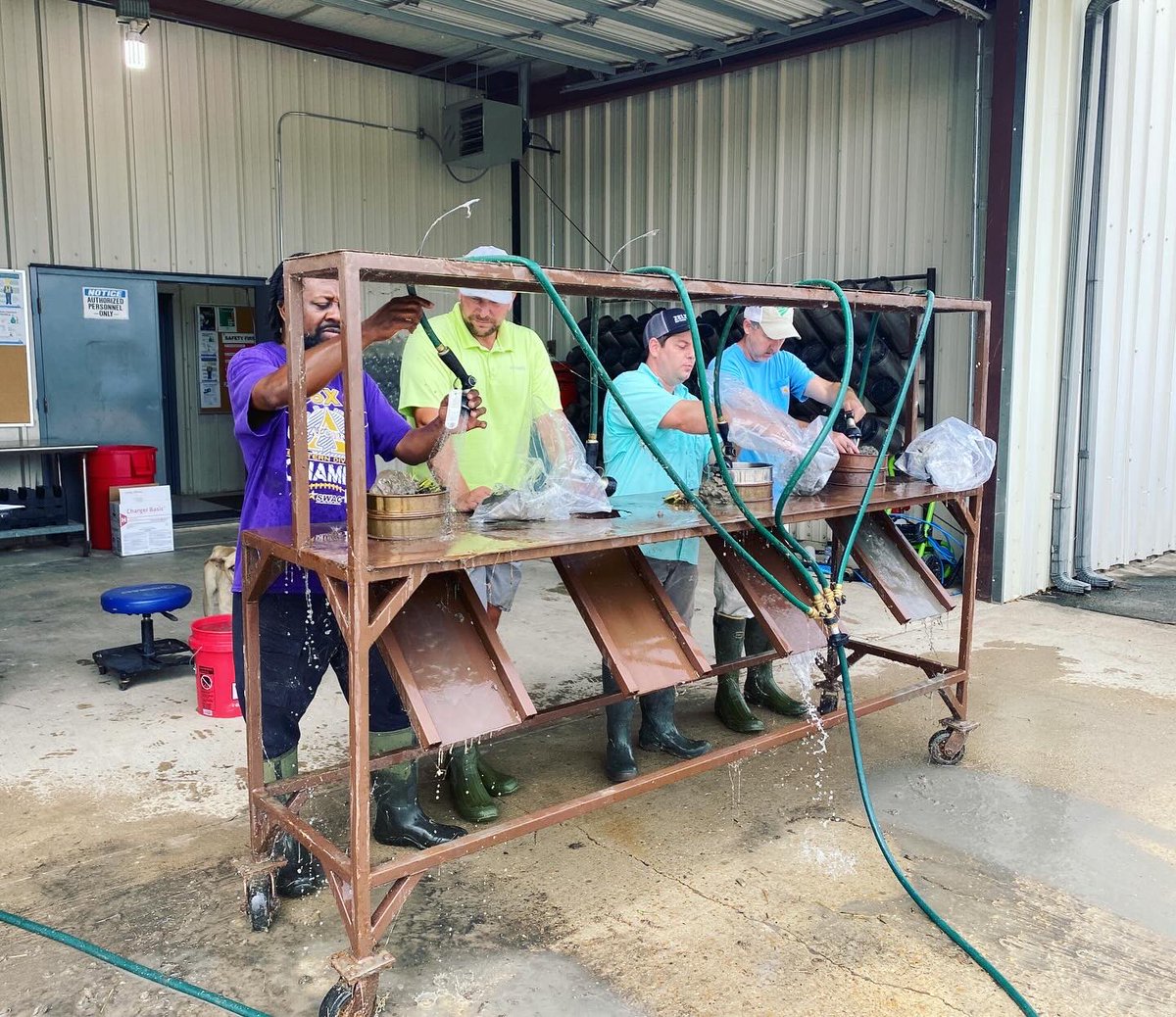 RMattGriffin's tweet photo. Great weather for rice water weevil evaluations with the seed treatment crew #usarice https://t.co/SoUfK179gB