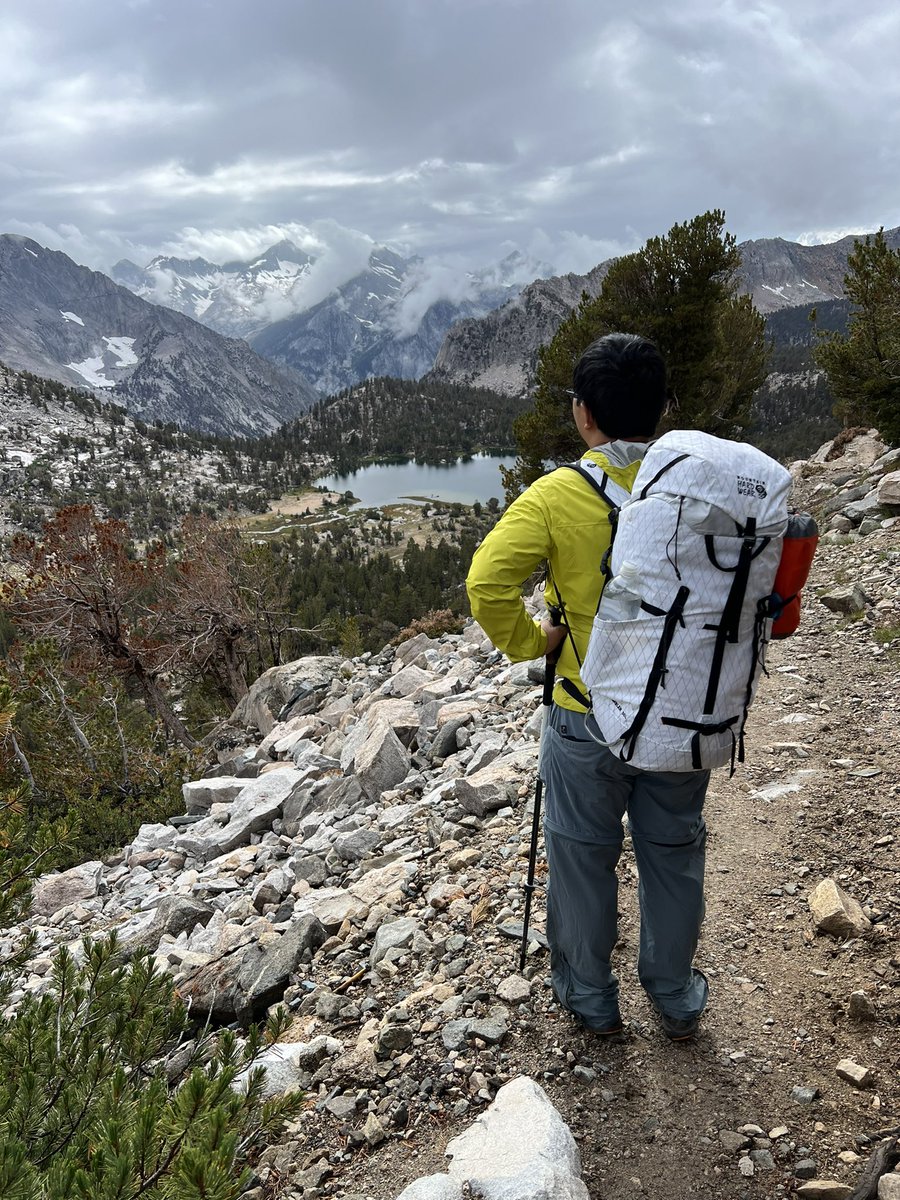 Xin Jin, PhD tweet media