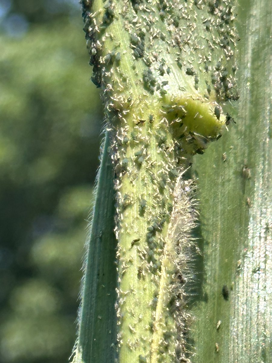 ERIC CARTER tweet media