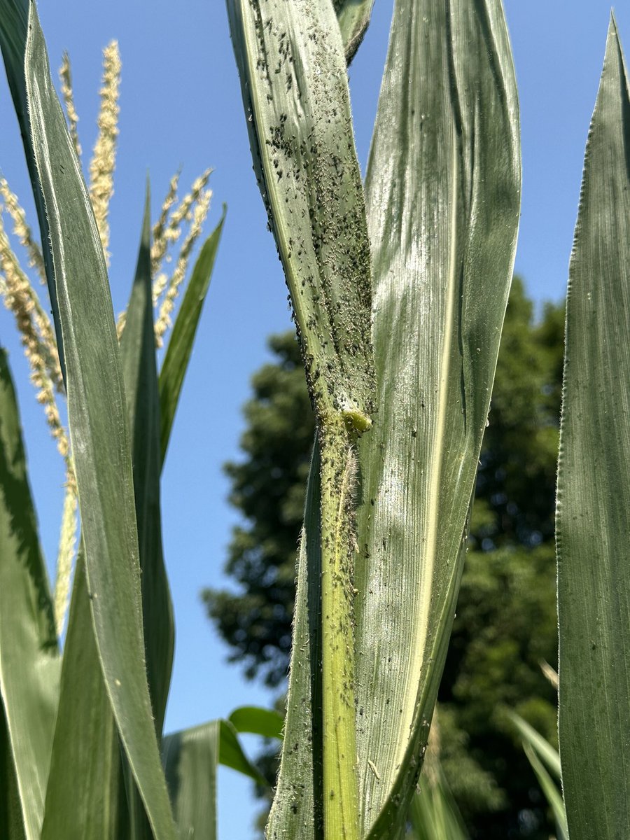 ERIC CARTER tweet media