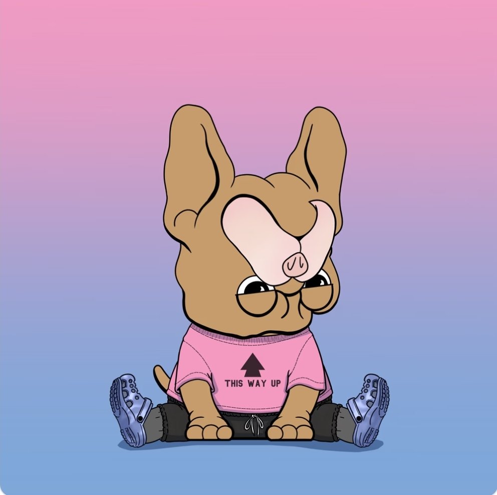 Show me your <a href="/FrenchieBallers/">Frenchie Ballers NFT</a> 👀
