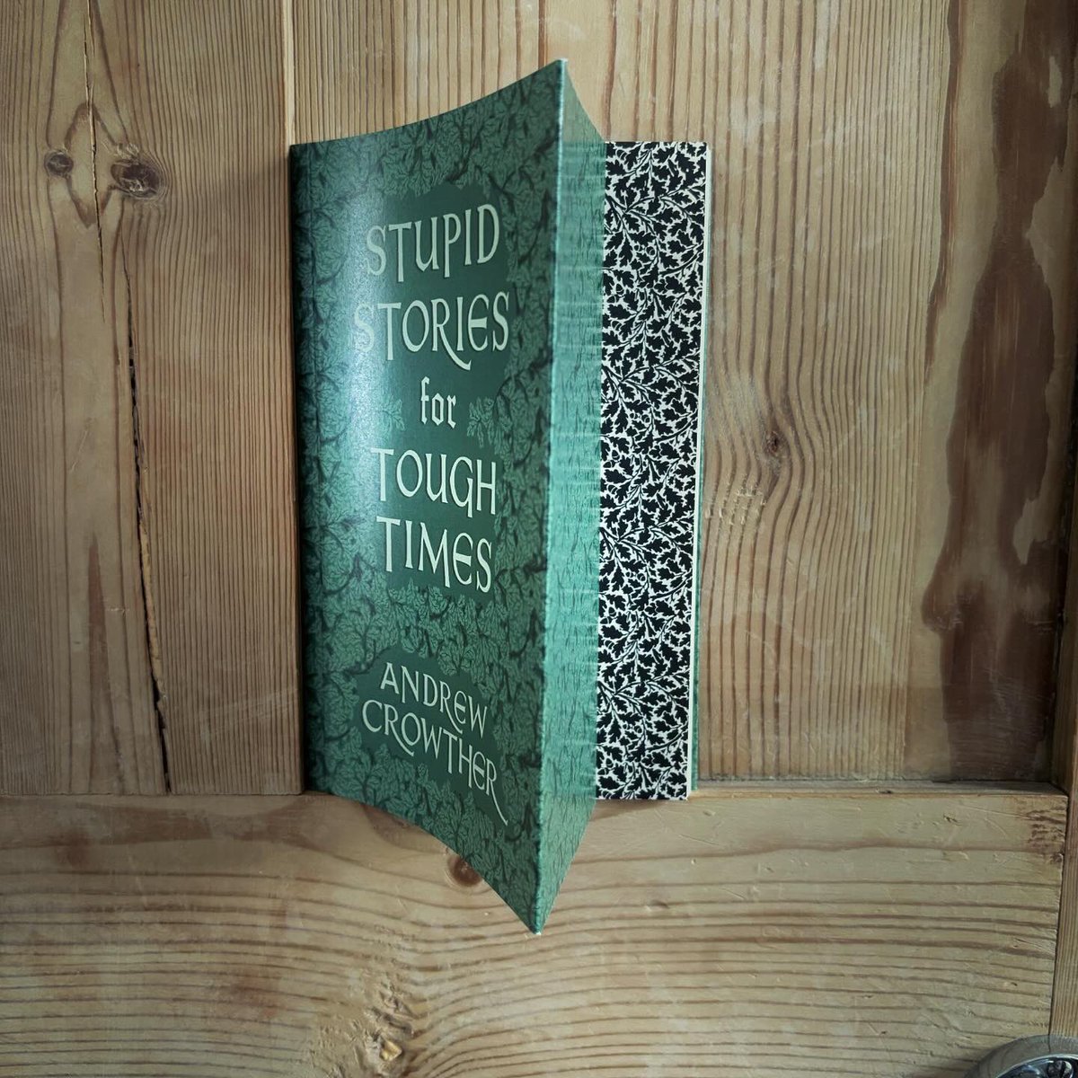 Delighted to introduce you to one of our latest titles, the brilliantly titled Stupid Stories for Tough Times by @AndrewJCrowther.

A blissfully lighthearted selection of witty and darkly humorous tales that take a caricaturing pen to our troubled times. 

renardpress.com/books/stupid-s…