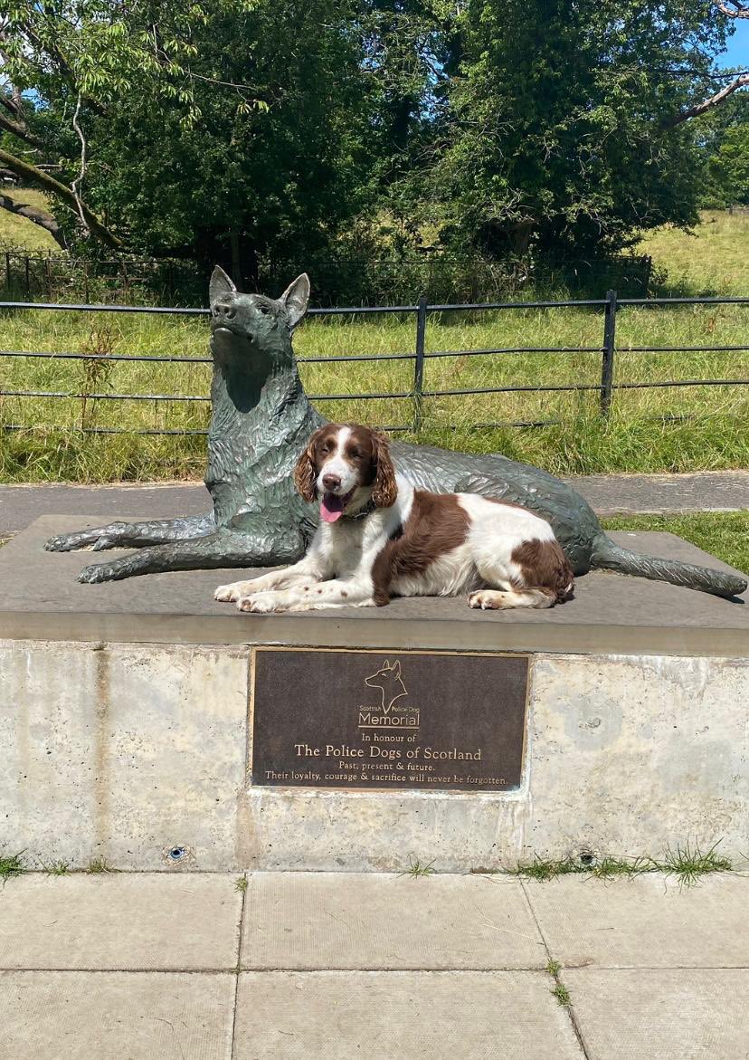 Mac &amp; Coorie went visiting our friends in Glasgow’s Pollock Park last week when Mac gave us this weeks 👅 out Tuesday. So don’t forget to test your smoke alarms please 🚨🚒👩‍🚒🐶🐕
#tongueouttuesday