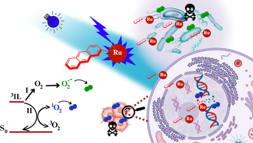 bhkenlo's tweet photo. Minimal Functionalization of Ruthenium Compounds with Enhanced Photoreactivity against Hard-to-Treat Cancer Cells and Resistant Bacteria | Inorganic Chemistry https://t.co/1x6p2CLNGQ de Carvalho, Sousa, and co-workers @InorgChem #ruthenium #bpy #phen #1O2 #superoxide #hydroxyl https://t.co/9UZqFh4P7h