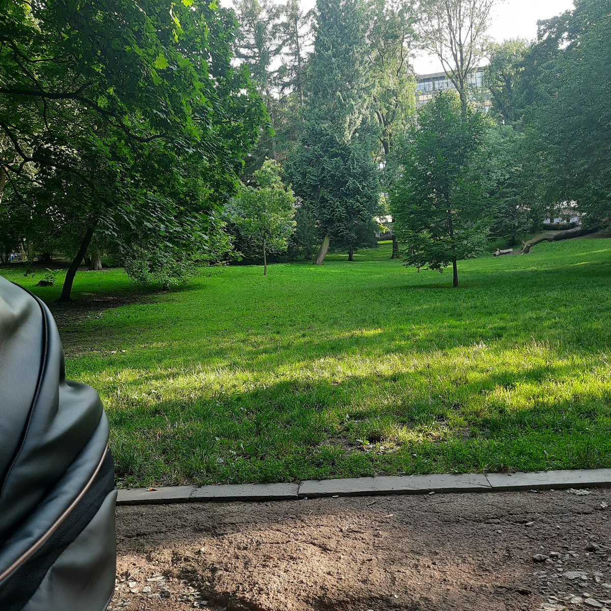 __PCW__'s tweet image. Gm 😊 🙏 fam. Son is sleeping and I am chilling 😎